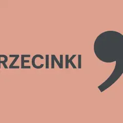 Szary przecinek i napis "PRZECINKI" na łososiowym tle.
