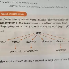 Diagram przedstawia rodzinę wyrazów z rdzeniem "dom": domostwo, domek, domowy, domeczek, przydomowy, domofon, domator, domatorka, zadomowić się.