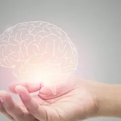 Dłoń trzyma świecący zarys mózgu, symbolizujący wiedzę i potencjał. Widać wyraźnie rdzeń przedłużony.