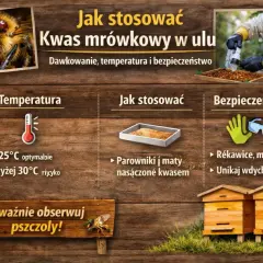 Instrukcja stosowania kwasu mrówkowego w ulu: temperatura 10-25°C, używaj parowników i mat, noś rękawice i maskę. Obserwuj pszczoły!