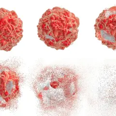 Komórka rozpada się, ukazując proces apoptozy. Fragmenty czerwonej materii unoszą się w powietrzu.