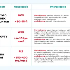Tabela interpretacji parametrów morfologii krwi: MCV, WBC, PLT. Opisuje normy i możliwe przyczyny odchyleń.