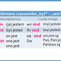 Tabela odmiany czasownika „sein” (być) w języku niemieckim. Widać odmianę w liczbie pojedynczej i mnogiej, np. "ich bin" (ja jestem).