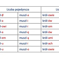 Tabela ukazuje deklinację rzeczowników "król" i "muszla" w liczbie pojedynczej i mnogiej, prezentując odmianę przez przypadki.