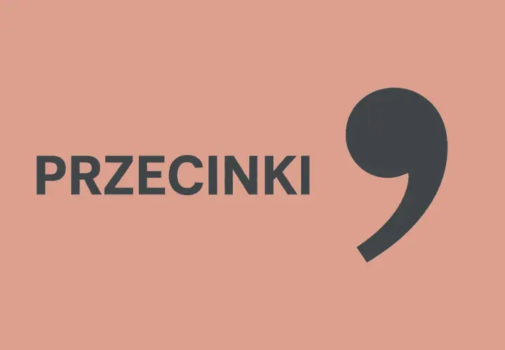 Szary przecinek i napis "PRZECINKI" na łososiowym tle.