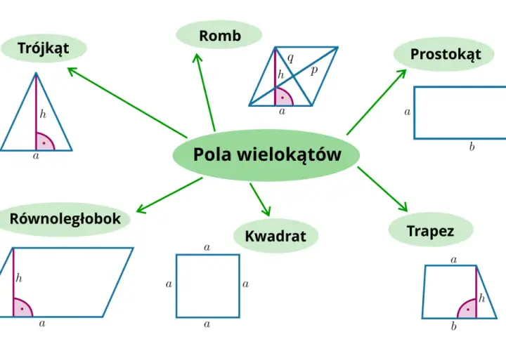 Diagram przedstawiający pola wielokątów: trójkąt, romb, prostokąt, trapez, kwadrat, równoległobok.