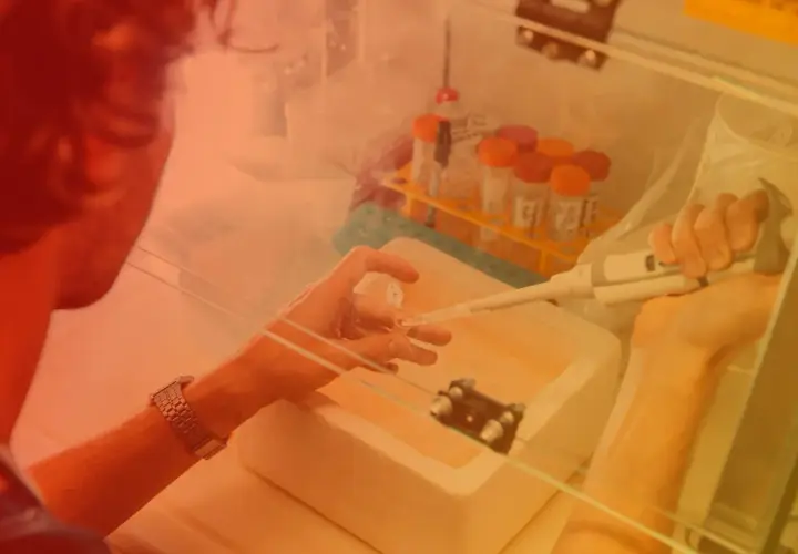 Badacz pracuje w komorze laminarnym, precyzyjnie pobierając próbki pipetą. To kluczowy etap w badaniach nad biotechnologią molekularną.