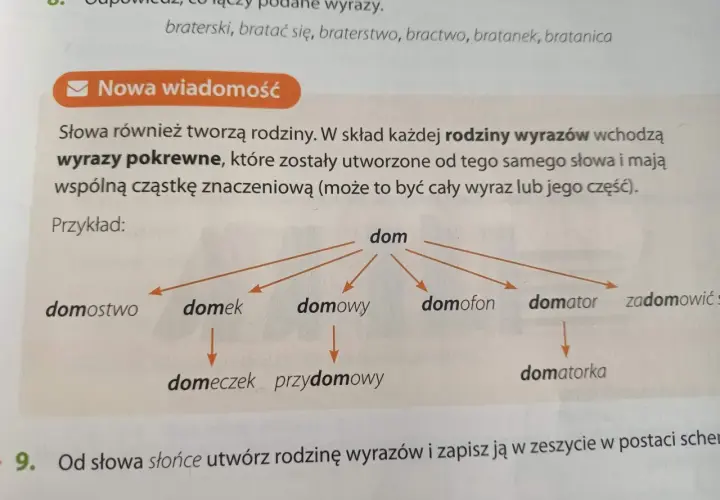 Diagram przedstawia rodzinę wyrazów z rdzeniem "dom": domostwo, domek, domowy, domeczek, przydomowy, domofon, domator, domatorka, zadomowić się.