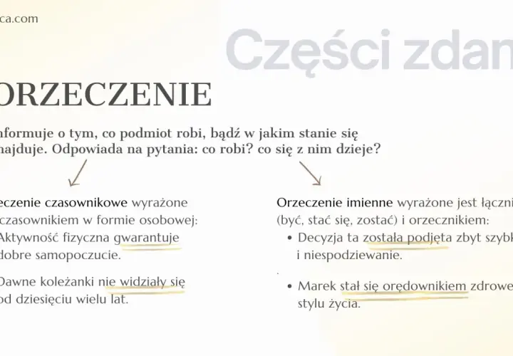 Orzeczenie informuje o czynności lub stanie podmiotu. Przykład: "Marek stał się orędownikiem zdrowego stylu życia.