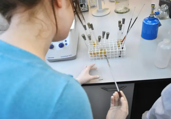 Biologia sądowa czy warto? Perspektywy, zarobki i wyzwania tego kierunku studiów