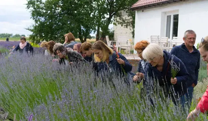 Jak założyć zagrodę edukacyjną: praktyczne kroki i wymagania