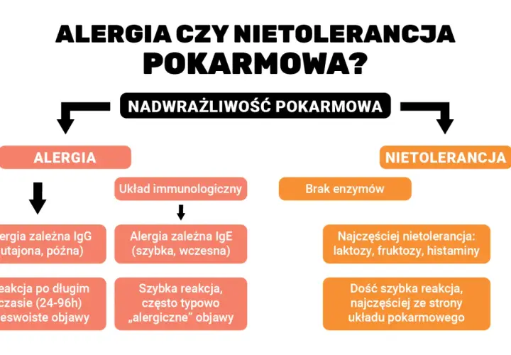 Schemat porównujący alergię i nietolerancję pokarmową, wyjaśniający mechanizmy i objawy reakcji na pokarmy, w tym potencjalne alergeny.