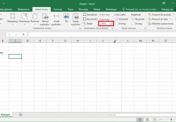 Jak wydrukować cały arkusz Excel: 5 prostych kroków