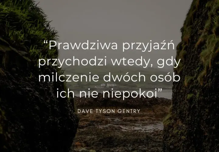 Prawdziwa przyjaźń przychodzi wtedy, gdy milczenie dwóch osób ich nie niepokoi" – cytaty o przyjaźni Dave'a Tysona Gentry'ego na tle skalistego wybrzeża.