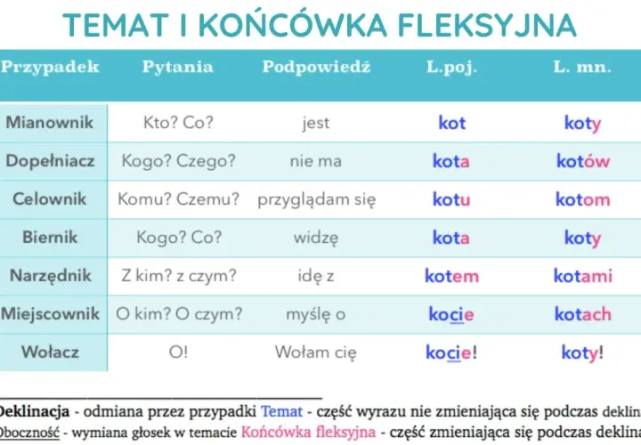 Tabela pokazuje przypadki rzeczownika "kot" w liczbie pojedynczej i mnogiej, ilustrując odmianę tematu i końcówki fleksyjnej.