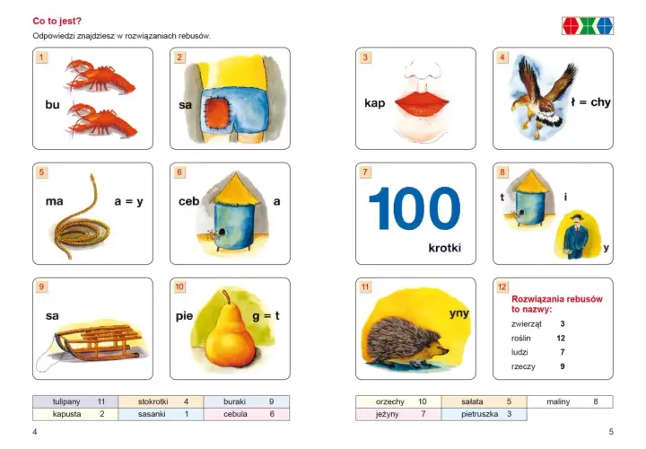 Rebusy z obrazkami: raki (bu), spodenki (sa), usta (kap), orzeł (ł=chy), sznur (ma=y), ul (ceba), sto (krotki), pszczoła i pan (tiy), sanki (sa), gruszka (piet), jeż (yny). Co to jest rzeczownik?