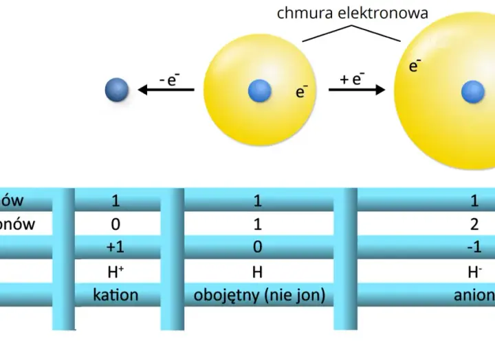 Schemat przedstawia budowę atomu wodoru i jego jonów. Pokazuje, jak liczba elektronów wpływa na ładunek i klasyfikację, tworząc kation, anion lub obojętny atom.