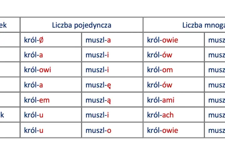Tabela ukazuje deklinację rzeczowników "król" i "muszla" w liczbie pojedynczej i mnogiej, prezentując odmianę przez przypadki.