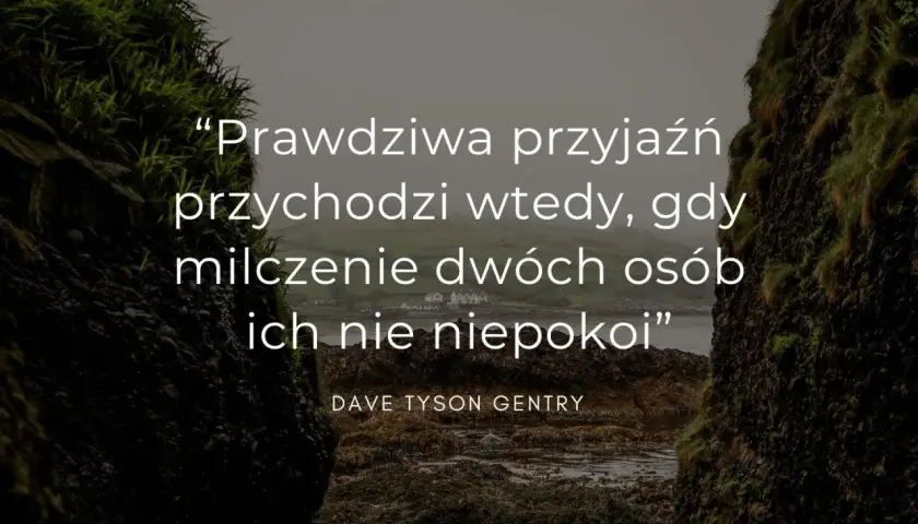 Prawdziwa przyjaźń przychodzi wtedy, gdy milczenie dwóch osób ich nie niepokoi" – cytaty o przyjaźni Dave'a Tysona Gentry'ego na tle skalistego wybrzeża.