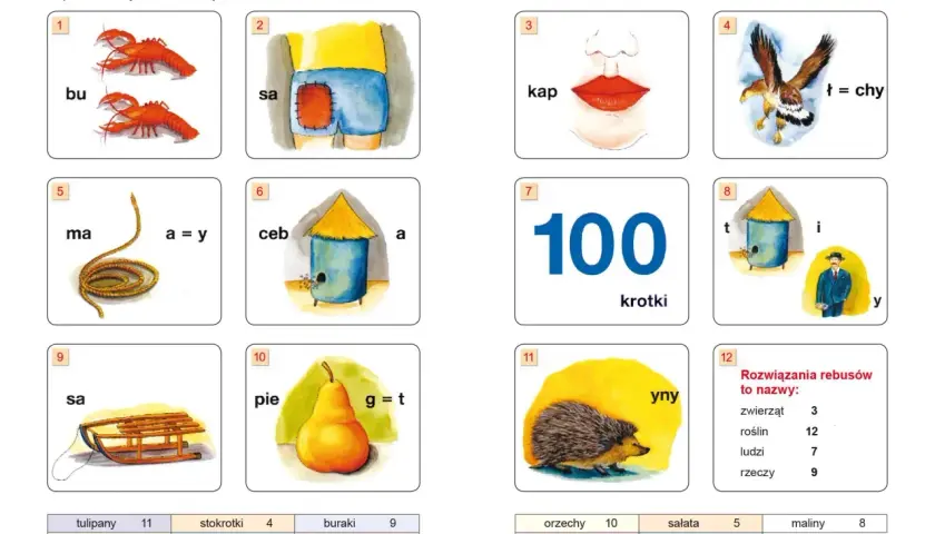 Rebusy z obrazkami: raki (bu), spodenki (sa), usta (kap), orzeł (ł=chy), sznur (ma=y), ul (ceba), sto (krotki), pszczoła i pan (tiy), sanki (sa), gruszka (piet), jeż (yny). Co to jest rzeczownik?