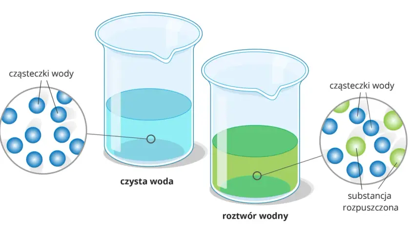 Ilustracja przedstawia dwa rodzaje roztworów: czystą wodę (niebieskie kuleczki) i roztwór wodny, gdzie cząsteczki wody (niebieskie) są zmieszane z rozpuszczoną substancją (zielone kuleczki).