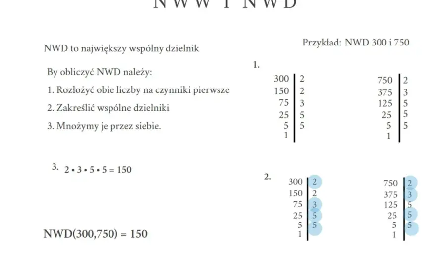 NWD i NWW - jak odróżnić i liczyć bez błędów? Poradnik
