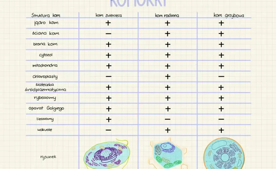 Budowa komórki - Jak zrozumieć jej sekrety?