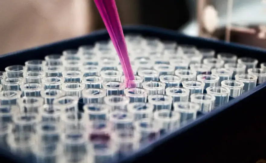 Histologia - jak czytać tkanki pod mikroskopem bez zgadywania?