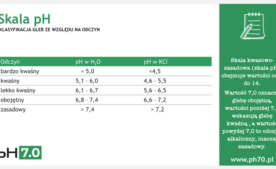 Odczyn pH - jak czytać skalę i unikać błędów?