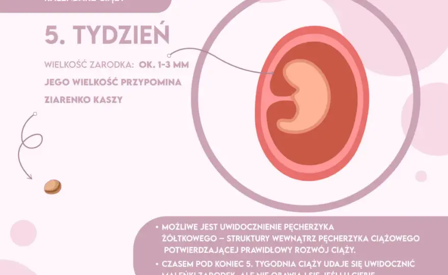 Skok rozwojowy 5 tydzień objawy - co zmienia się u niemowlaka?