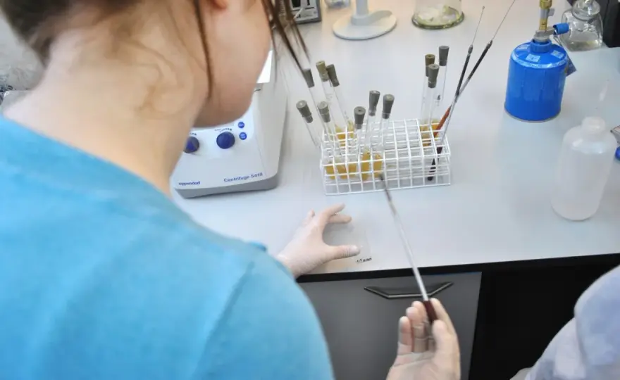 Biologia sądowa czy warto? Perspektywy, zarobki i wyzwania tego kierunku studiów
