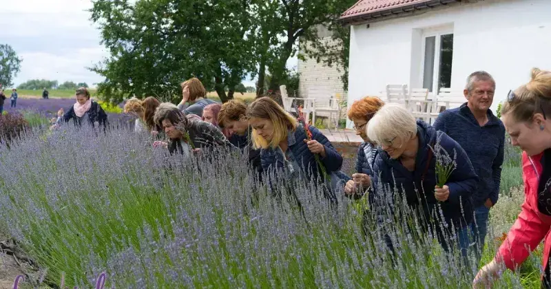 Jak założyć zagrodę edukacyjną: praktyczne kroki i wymagania