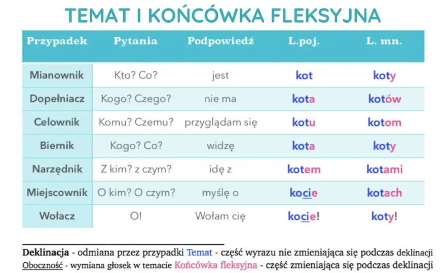 Odmiana rzeczownika - 7 przypadków bez tajemnic
