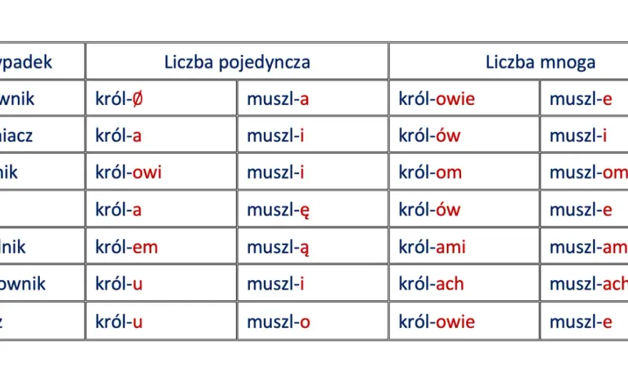 Odmiana przez przypadki - Zrozum i opanuj polską deklinację!