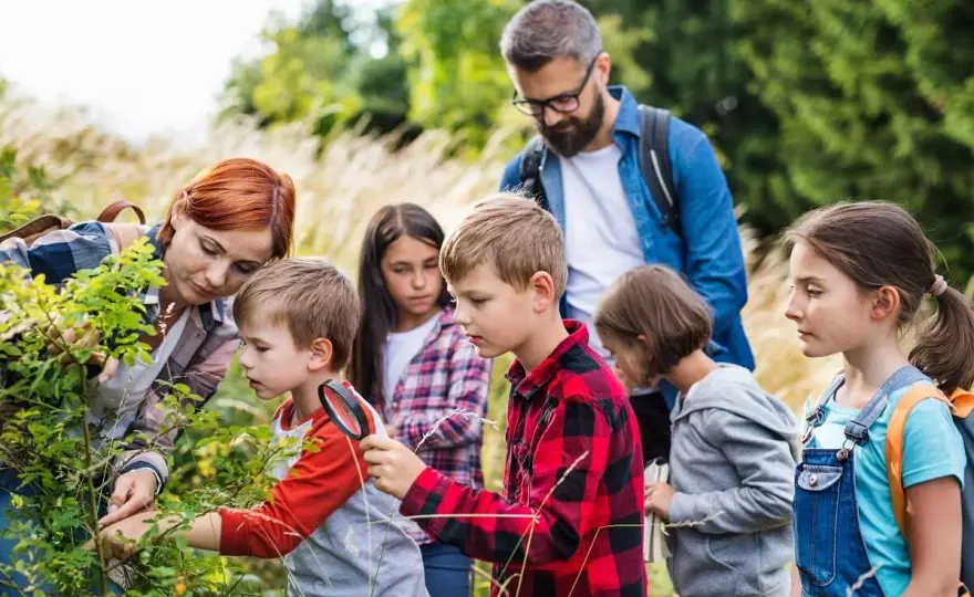 Czy kierownik kolonii może być jednocześnie wychowawcą? Sprawdź zasady