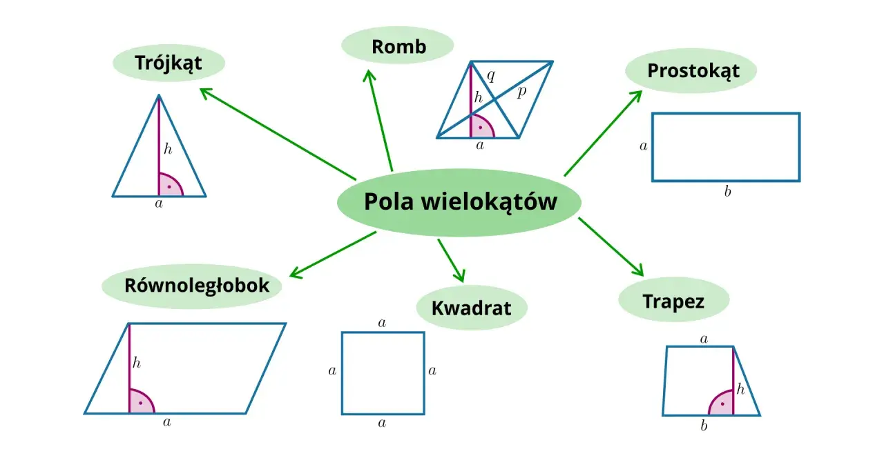 Diagram przedstawiający pola wielokątów: trójkąt, romb, prostokąt, trapez, kwadrat, równoległobok.