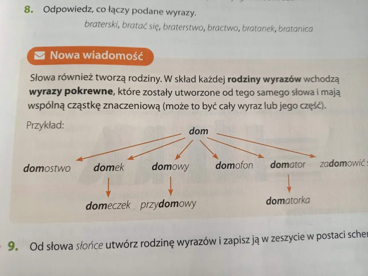 Diagram przedstawia rodzinę wyrazów z rdzeniem "dom": domostwo, domek, domowy, domeczek, przydomowy, domofon, domator, domatorka, zadomowić się.