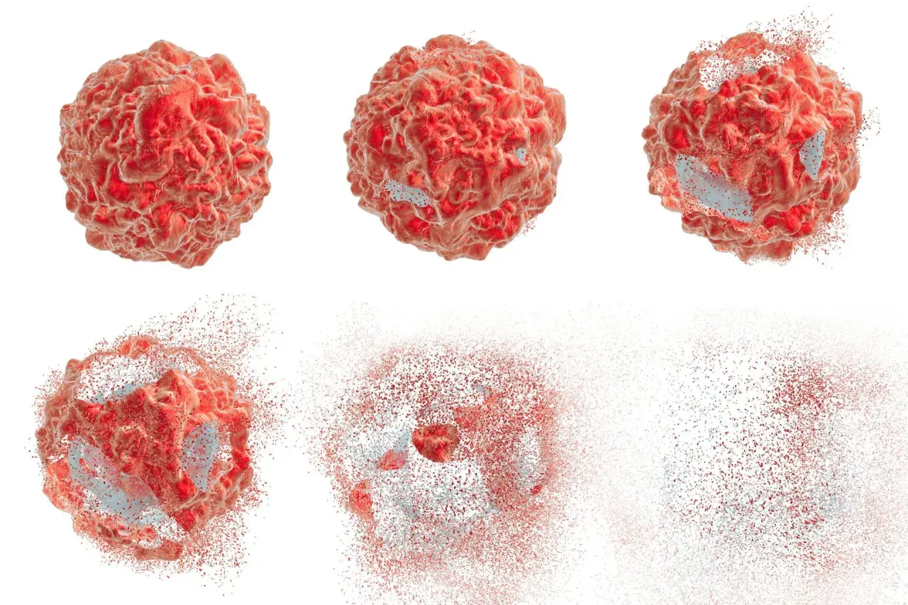 Komórka rozpada się, ukazując proces apoptozy. Fragmenty czerwonej materii unoszą się w powietrzu.