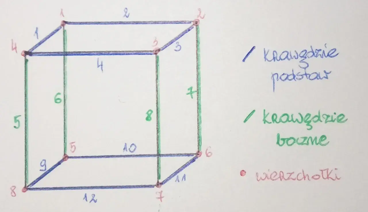 Sześcian ma 12 krawędzi. Na rysunku zaznaczono krawędzie podstaw (niebieskie) i krawędzie boczne (zielone), a także wierzchołki (czerwone kropki).