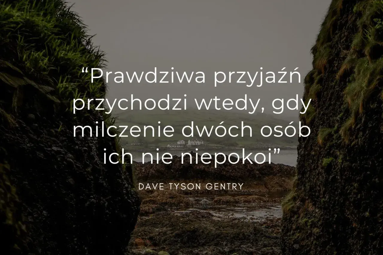 Prawdziwa przyjaźń przychodzi wtedy, gdy milczenie dwóch osób ich nie niepokoi" – cytaty o przyjaźni Dave'a Tysona Gentry'ego na tle skalistego wybrzeża.