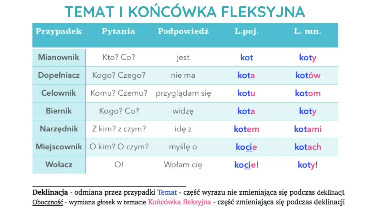 Tabela pokazuje przypadki rzeczownika "kot" w liczbie pojedynczej i mnogiej, ilustrując odmianę tematu i końcówki fleksyjnej.