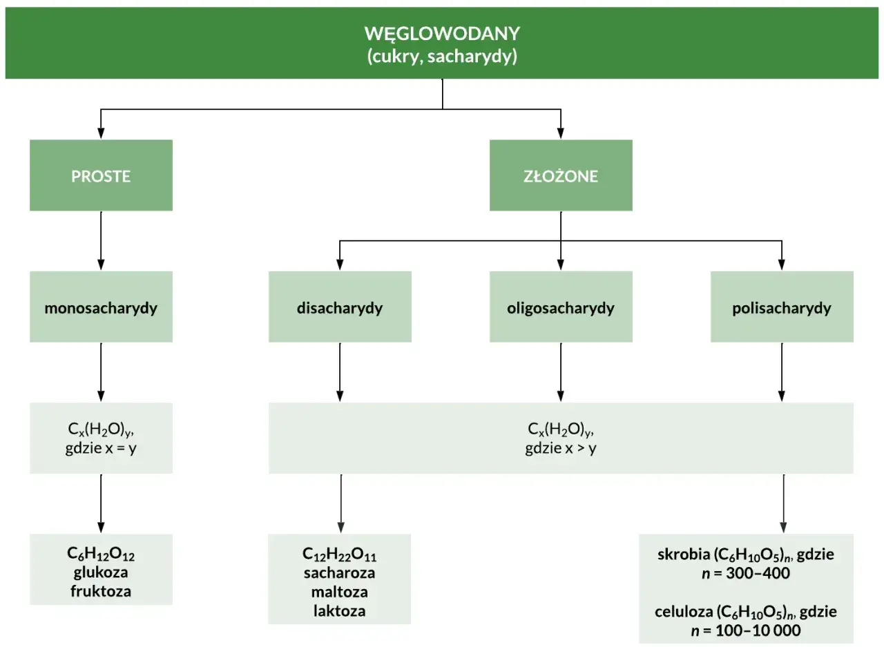 Schemat klasyfikacji węglowodanów: proste (monosacharydy, np. glukoza) i złożone (disacharydy, oligosacharydy, polisacharydy, np. skrobia).