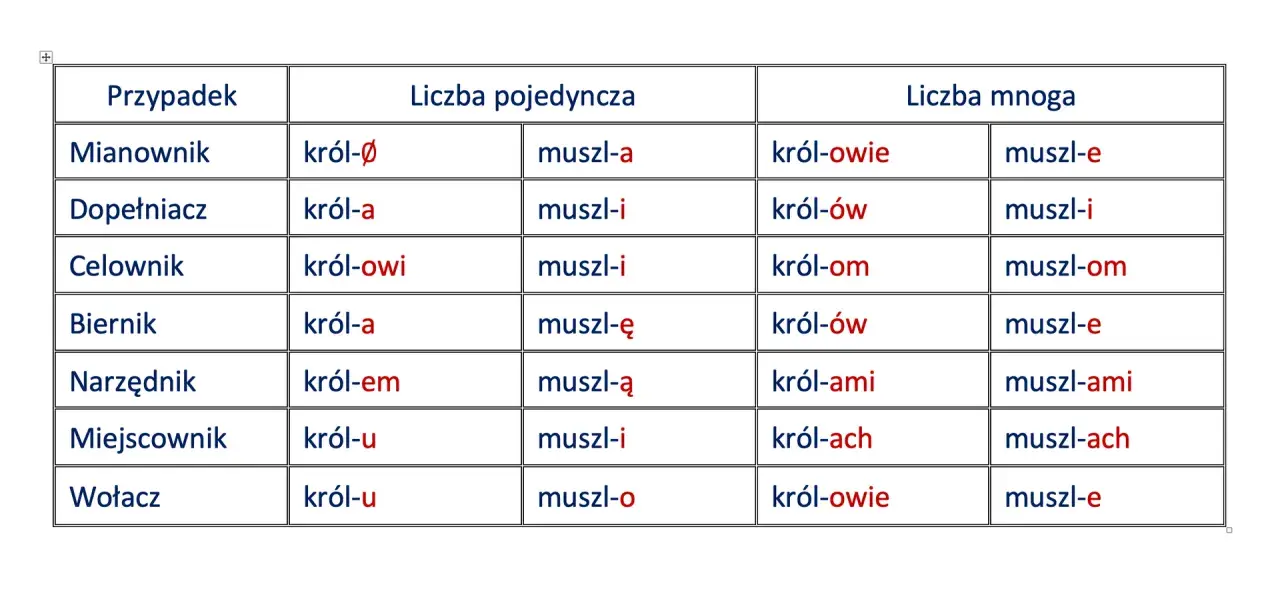 Tabela ukazuje deklinację rzeczowników "król" i "muszla" w liczbie pojedynczej i mnogiej, prezentując odmianę przez przypadki.