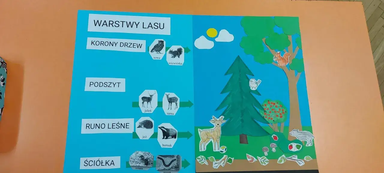 Ilustracja przedstawia warstwy lasu: korony drzew z sową i wiewiórką, podszyt z jeleniem i sarną, runo leśne z jeżem i borsukiem oraz ściółkę z mrówką i stonogą.