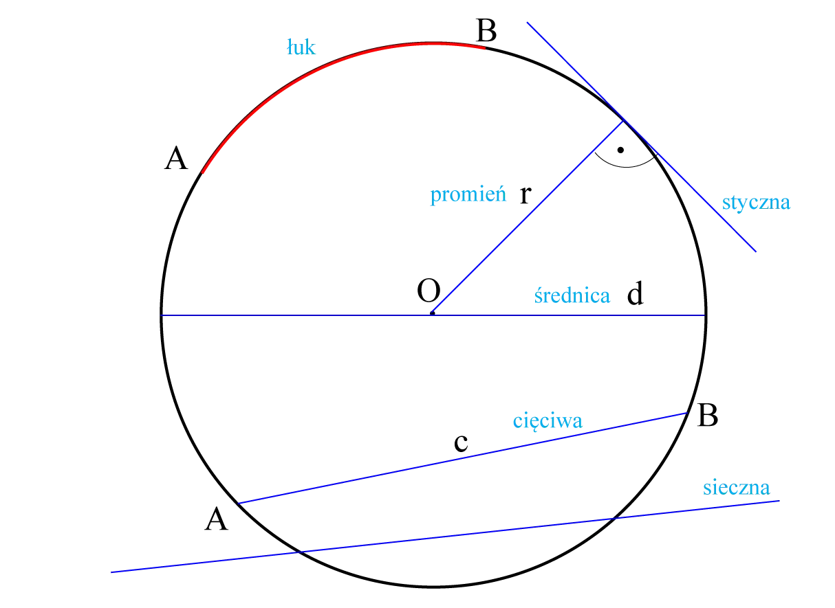 Ilustracja geometryczna z łukiem, promieniem, średnicą, cięciwą i sieczną. Pokazuje elementy budowy koła.