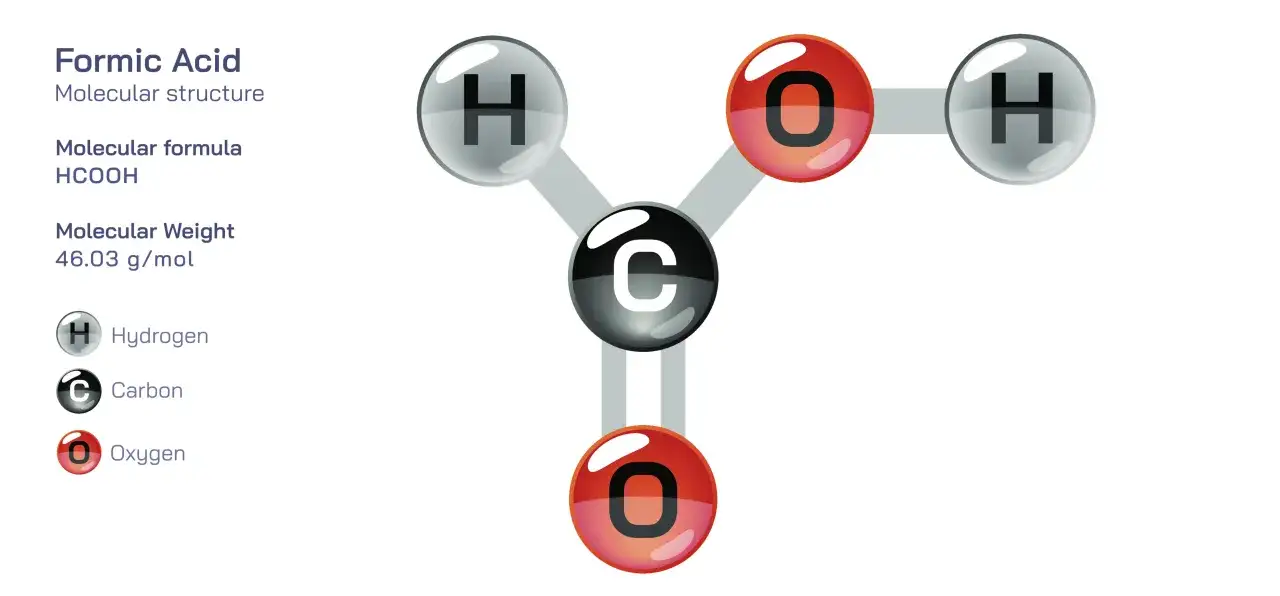 Struktura cząsteczki kwasu mrówkowego (HCOOH) z atomami węgla, tlenu i wodoru.