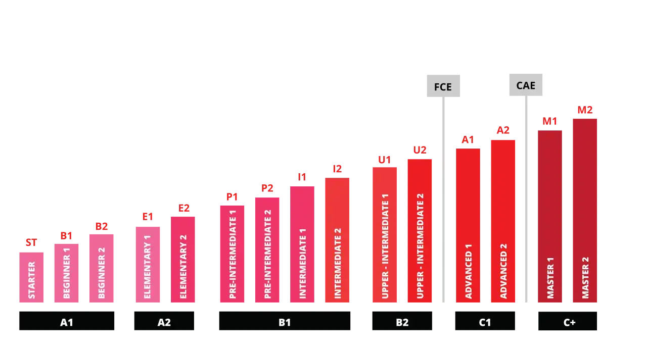 Wykres pokazuje poziomy języka angielskiego, gdzie angielski B1 jaki to poziom jest zaznaczony jako Intermediate 1 i 2.