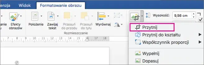 Zdjęcie Podpisywanie obrazów w PowerPoint - prosty sposób na efektowne prezentacje