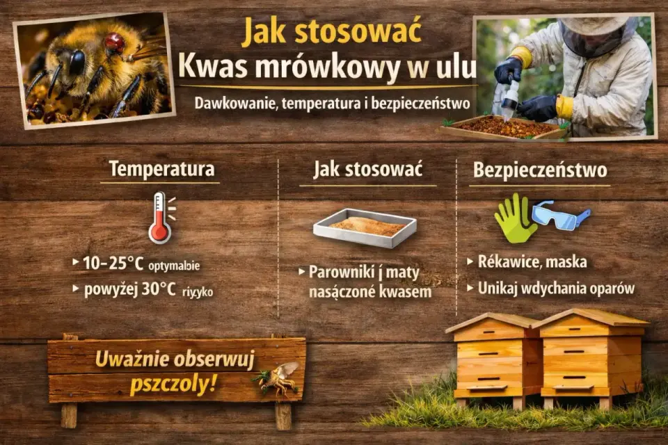 Kwas mrówkowy - Dlaczego jest wyjątkowy? Właściwości i użycie